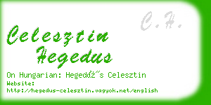 celesztin hegedus business card